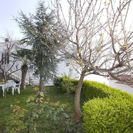 פודסטראנה Apartment Pcelica Maja חדר תמונה